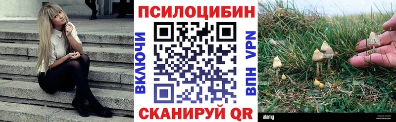 OMG ТОР  Кострома  Псилоцибиновые грибы ЛСД  дарнет шоп 